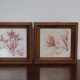 True alguier in walnut frame France 1960
