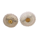 Pair of ceiling lights brass glass Glashütte Limburg Circa 1950