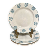 Assiettes Sarreguemines en terre de fer