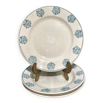Assiettes Sarreguemines en terre de fer