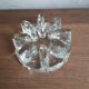 Photophore crystal plate bottom