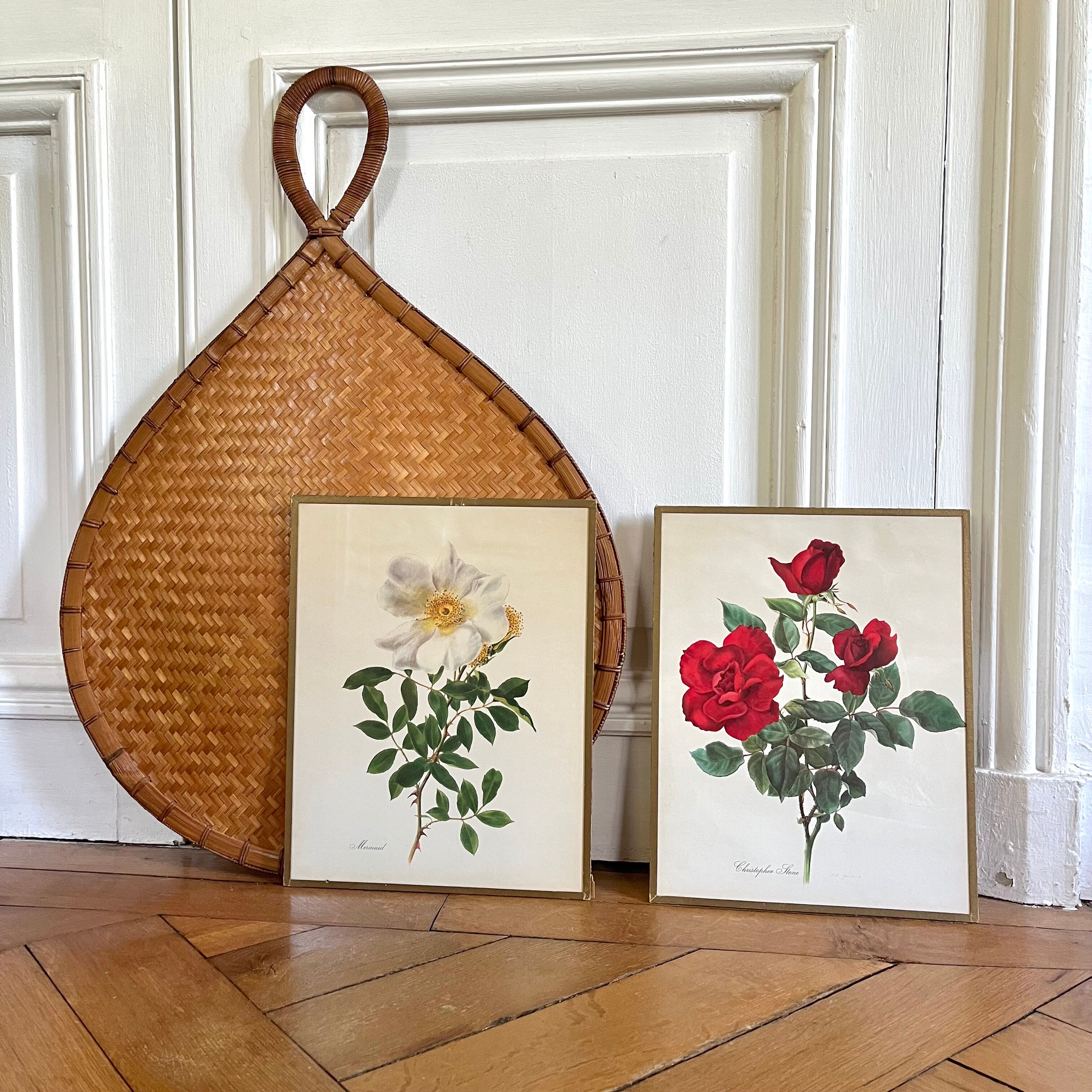 Pair of vintage botanical plates