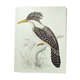 Antique plate - Kingfisher - bird and nature, Vintage 1970