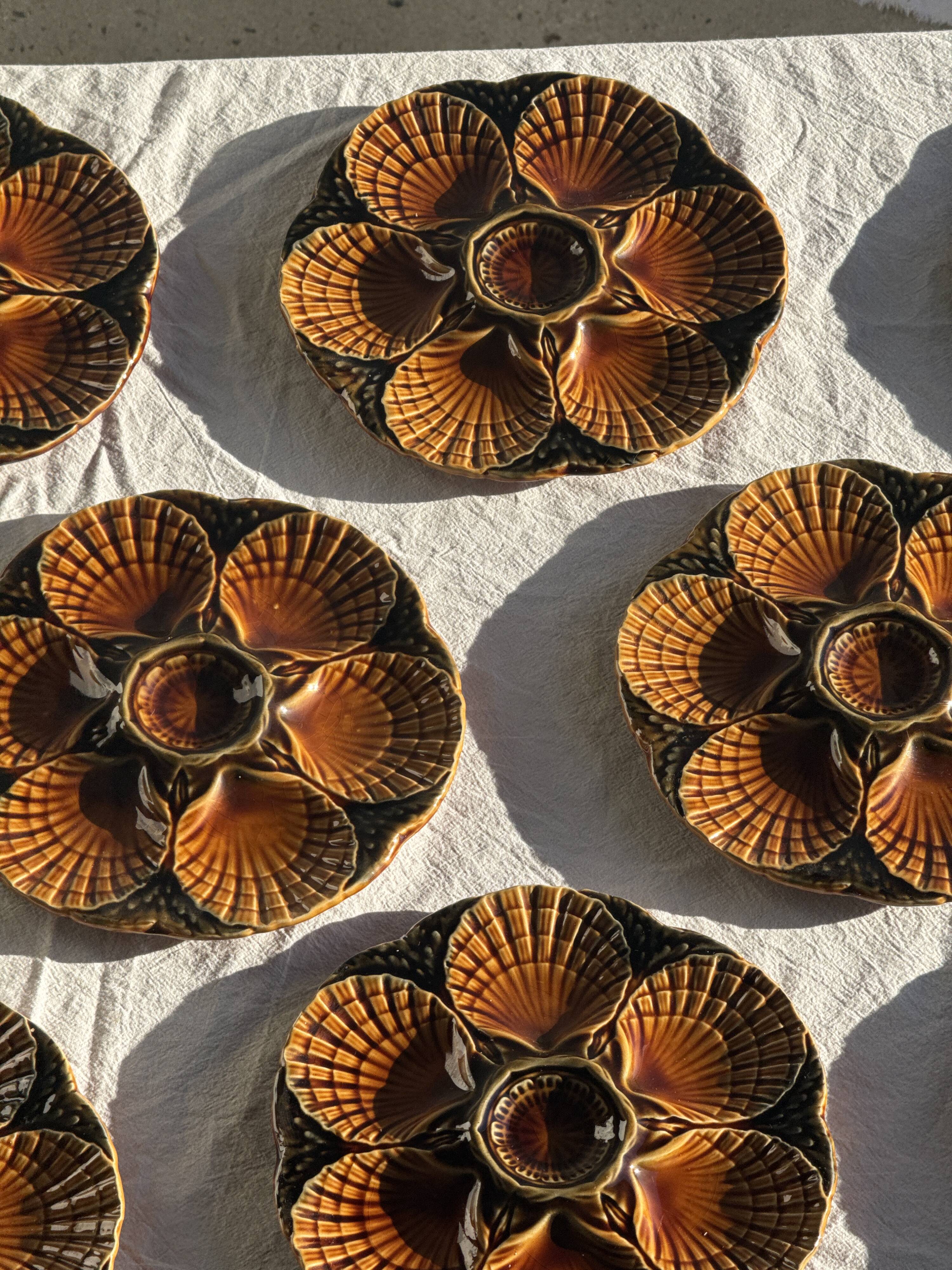Set of 12 oyster or shell plates in glazed brown ceramic D