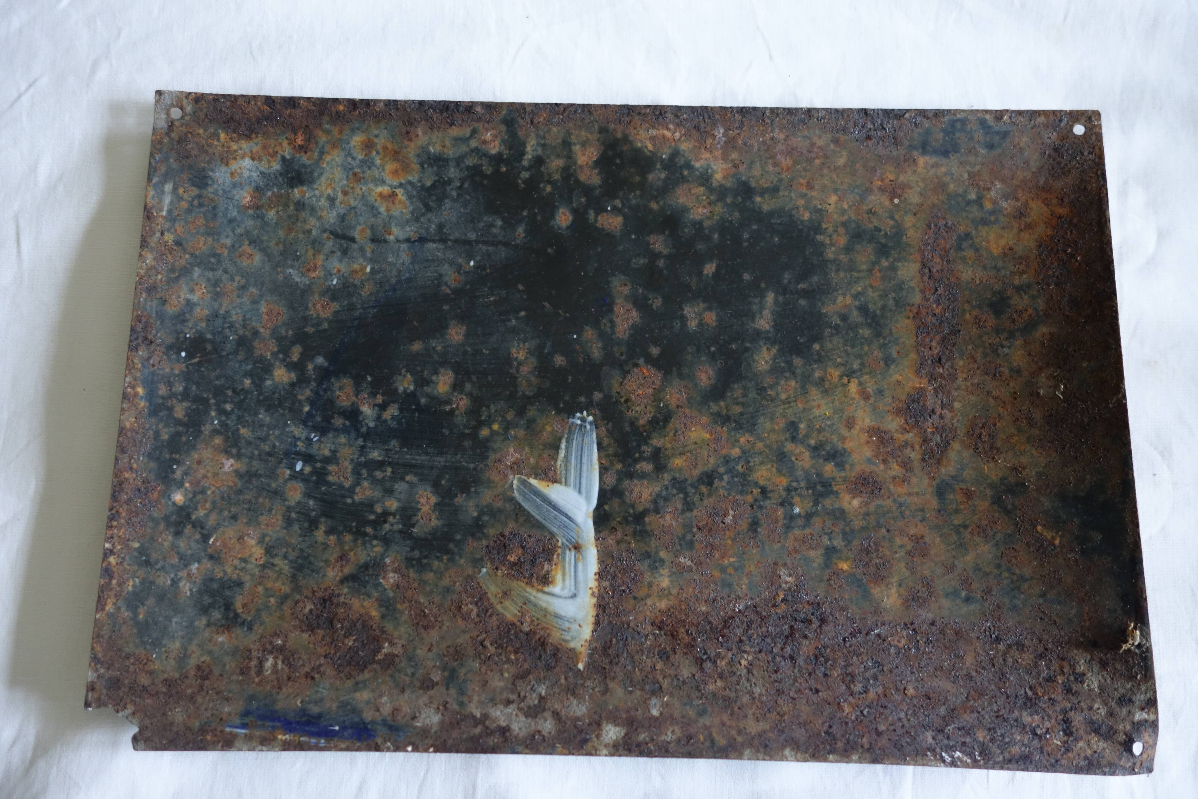 The parisian enamelled plate