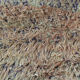 Tapis Marocain Beni M'Guild 176 x 240 cm