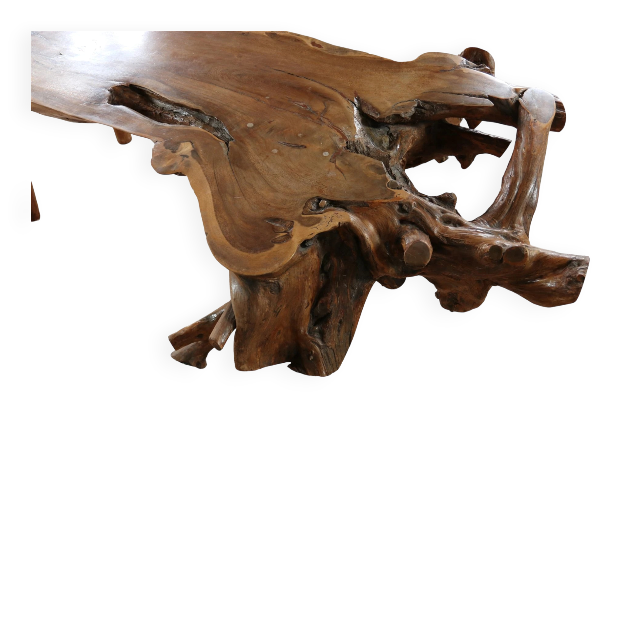 Large sculptural root wood coffee table – circa 1970