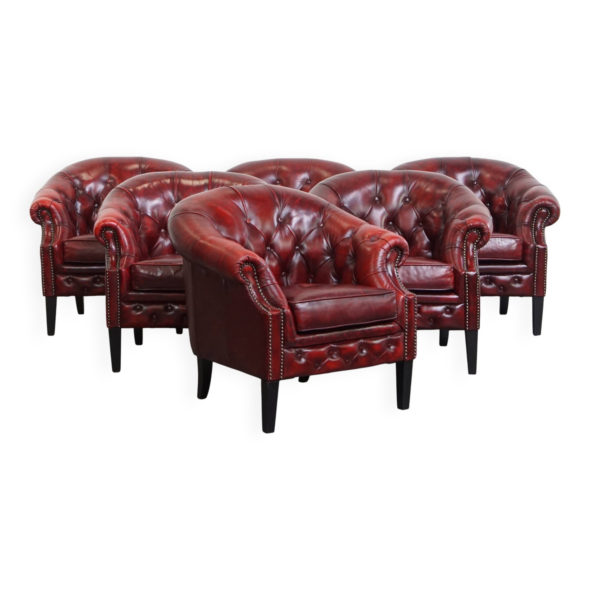Ensemble de 6 fauteuils club Chesterfield en cuir de vache anglais