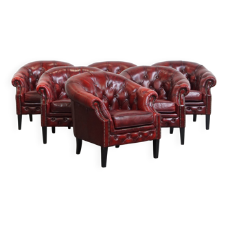 Ensemble de 6 fauteuils club Chesterfield en cuir de vache anglais
