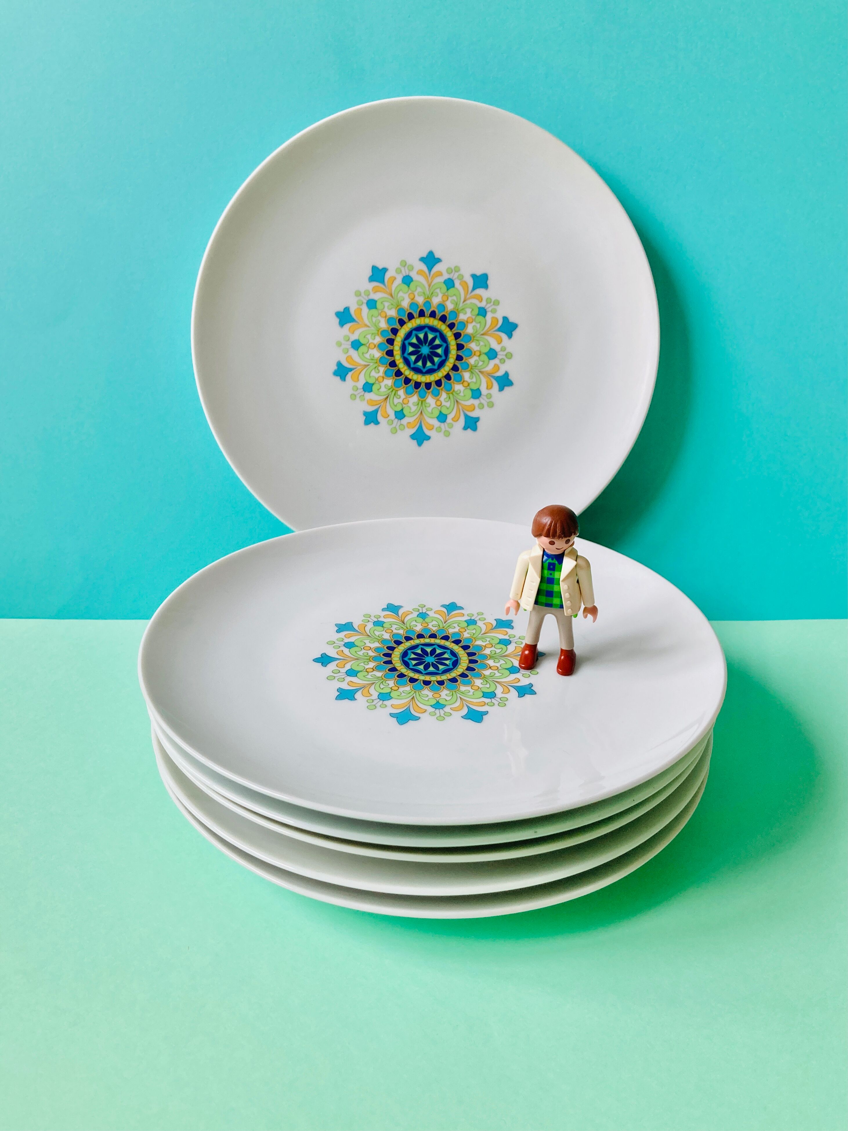 Lot of 6 plates 70s floral winterling marktleuthen bavaria-reto-cuisine