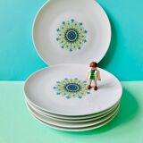 Lot of 6 plates 70s floral winterling marktleuthen bavaria-reto-cuisine