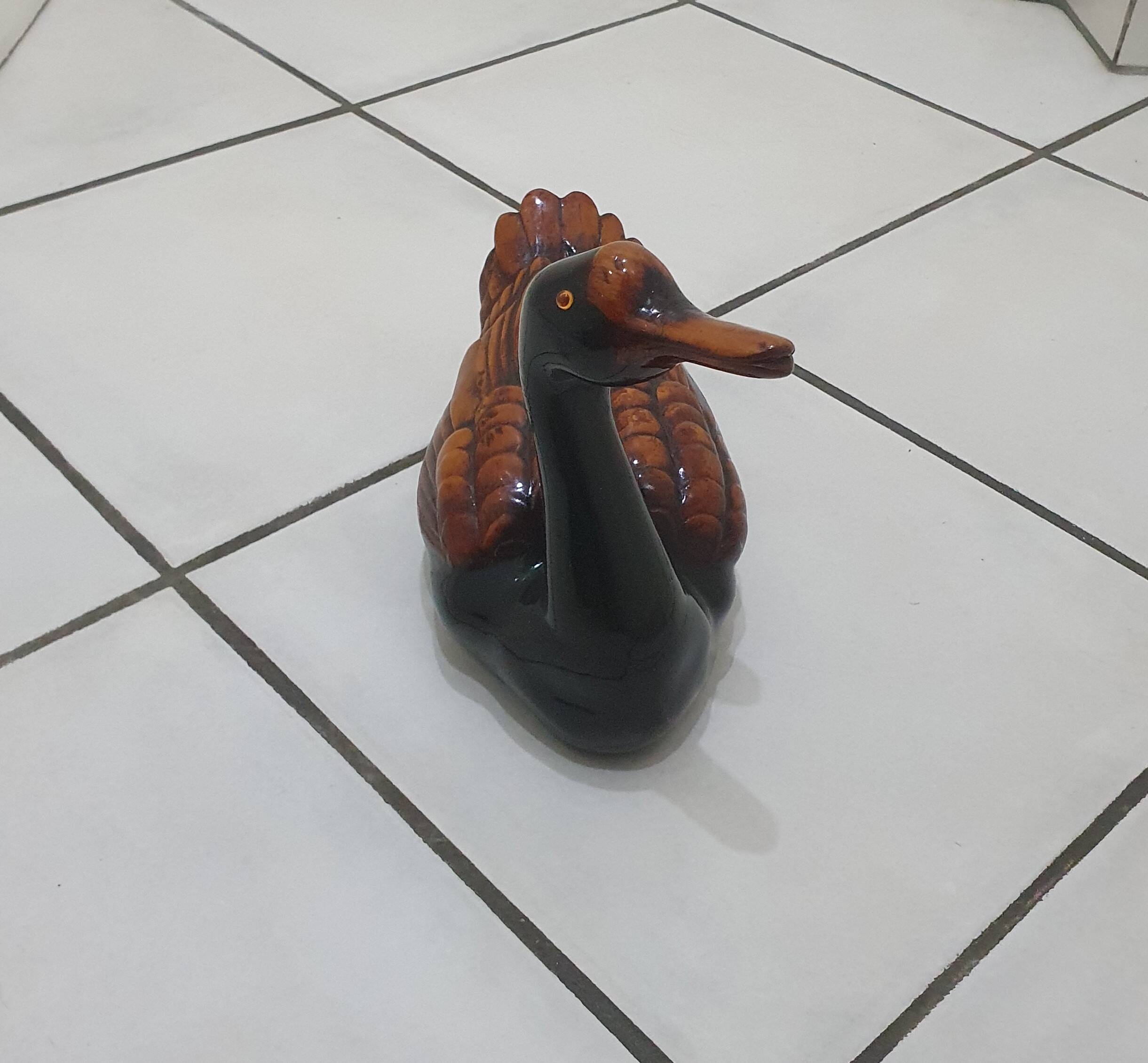 Large brown and black duck