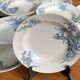 10 deep plates BFK Terre de Fer Regent model - perfect condition