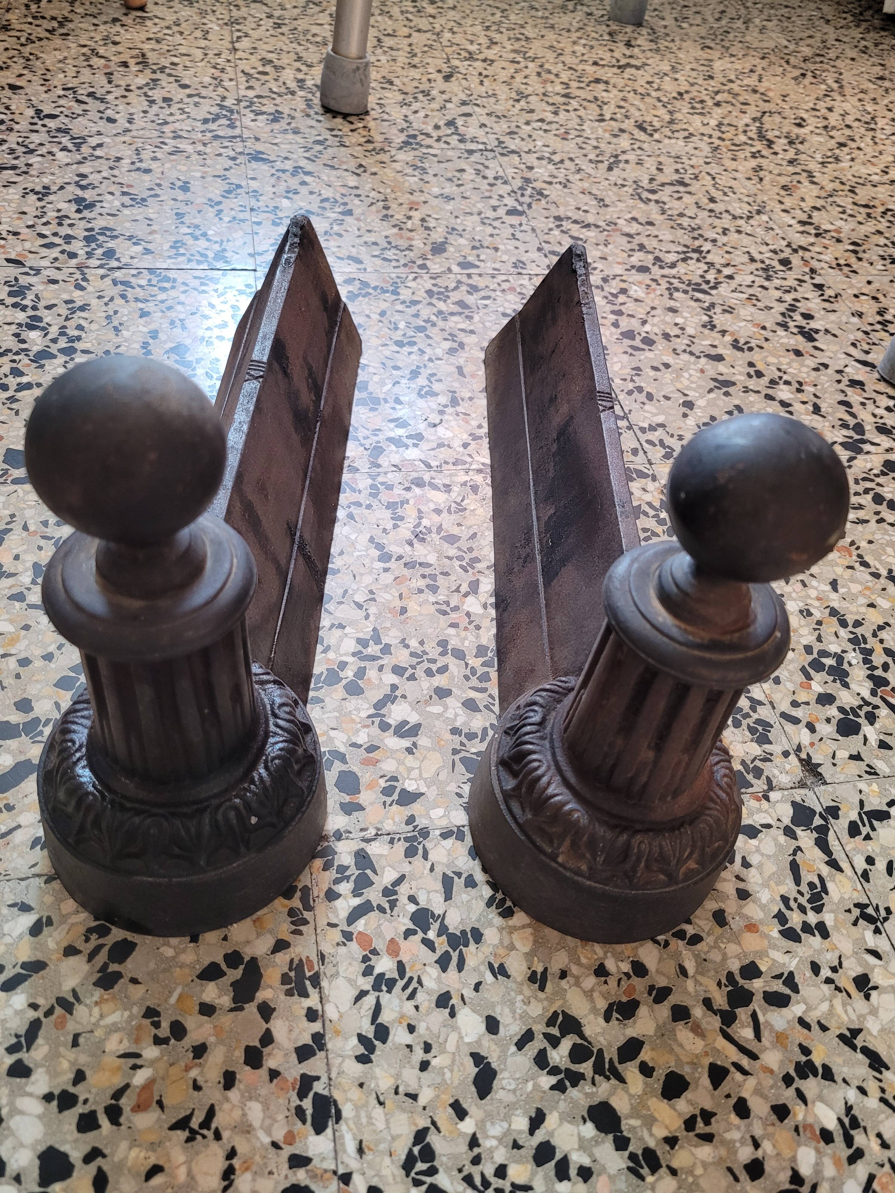 Beautiful pair of caterpillars