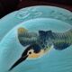 Slush plates