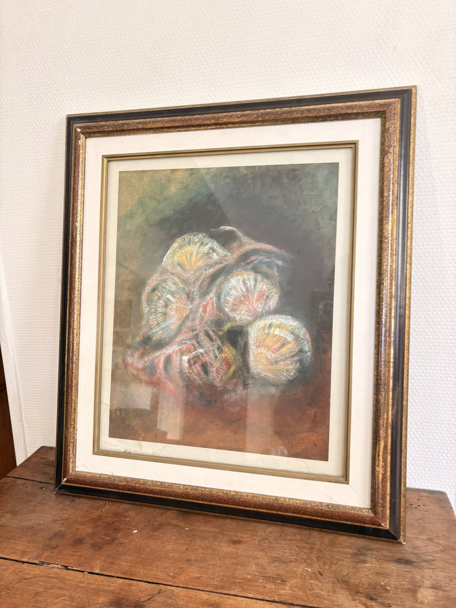 Pastel Drawing Shell Still Life Saint Jacques Fossil Pencil