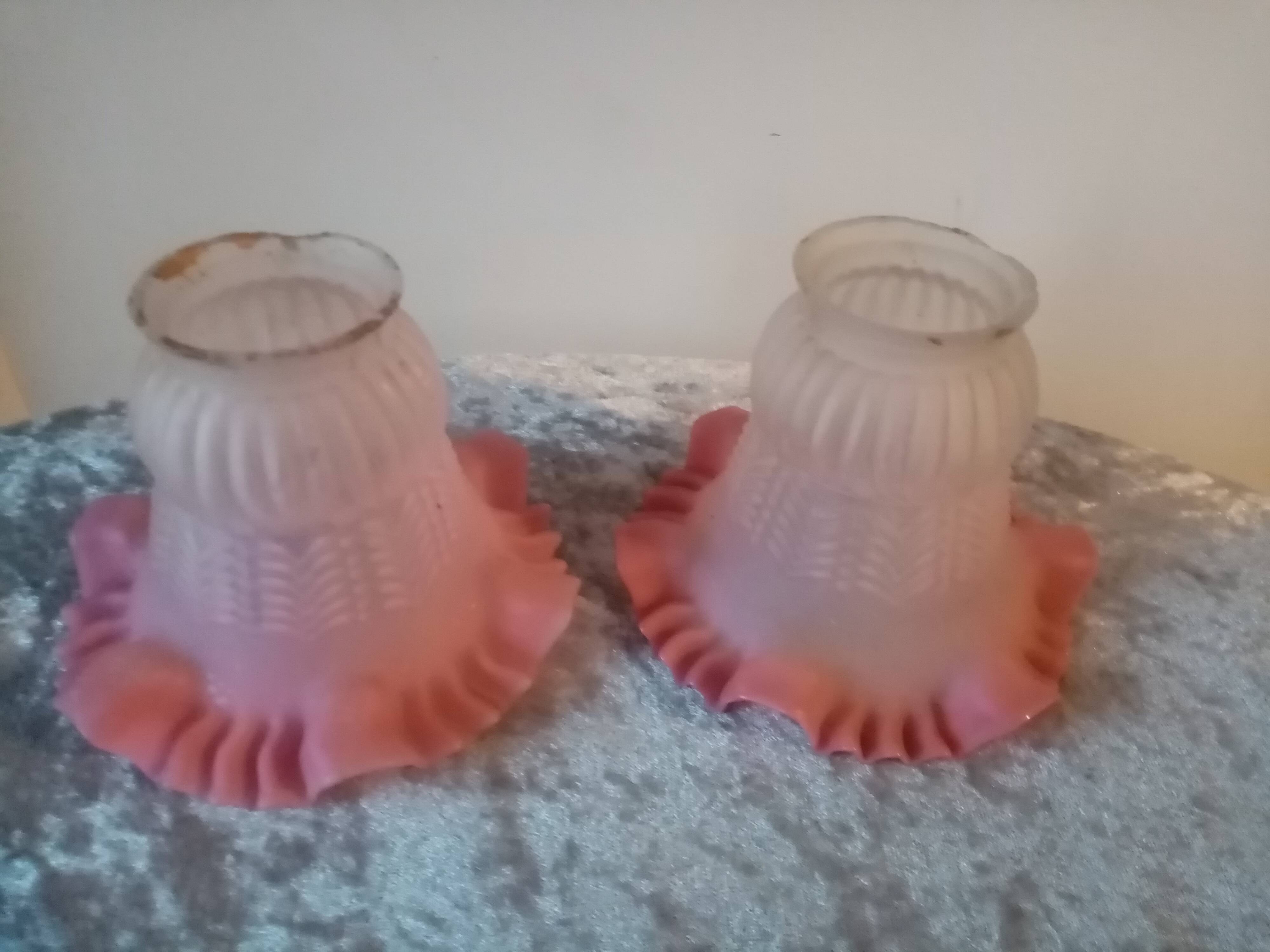 Duo of chandelier tulips or lamp in two-tone opaline