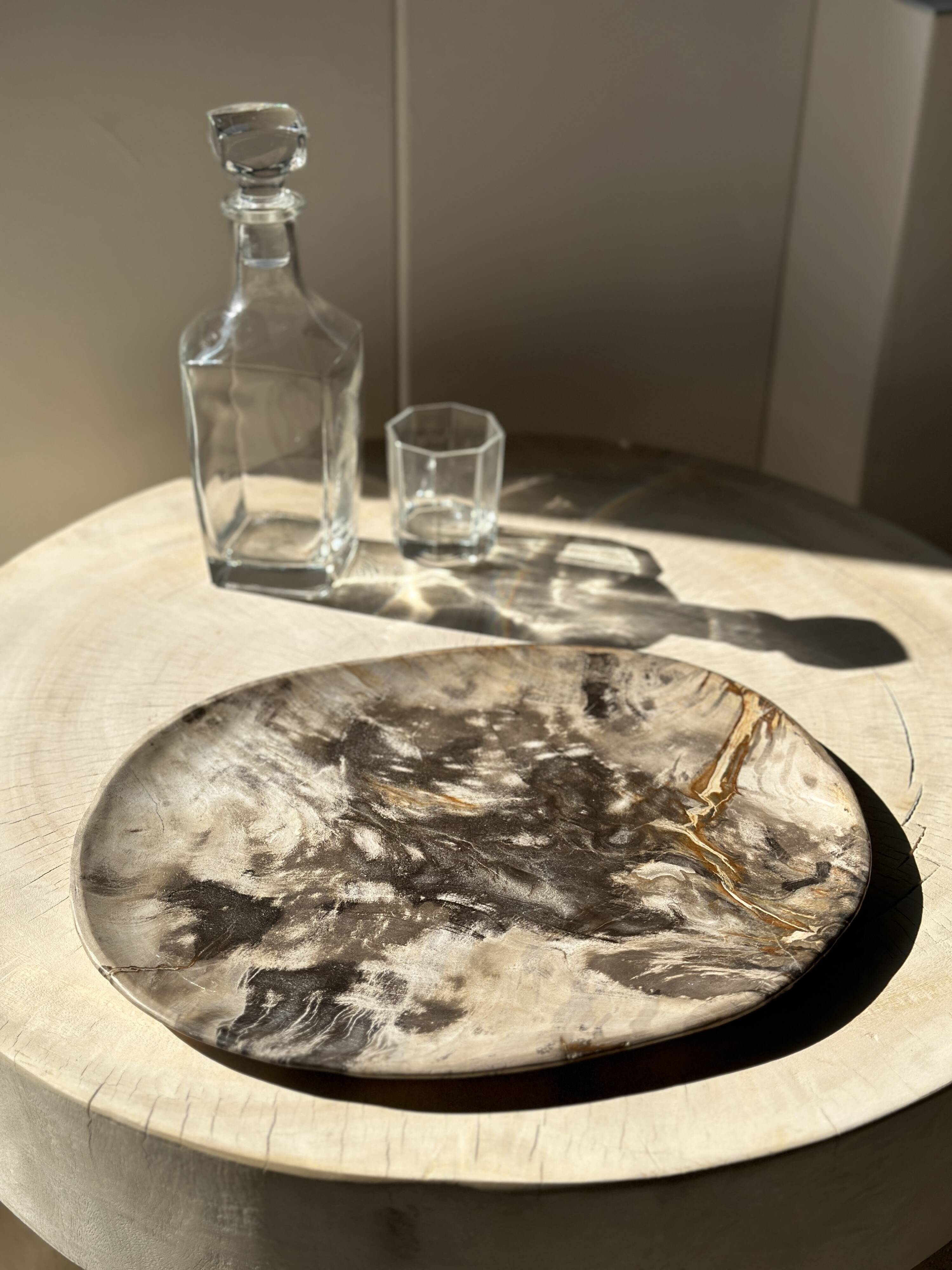 Very large pocket or dish in petrified wood