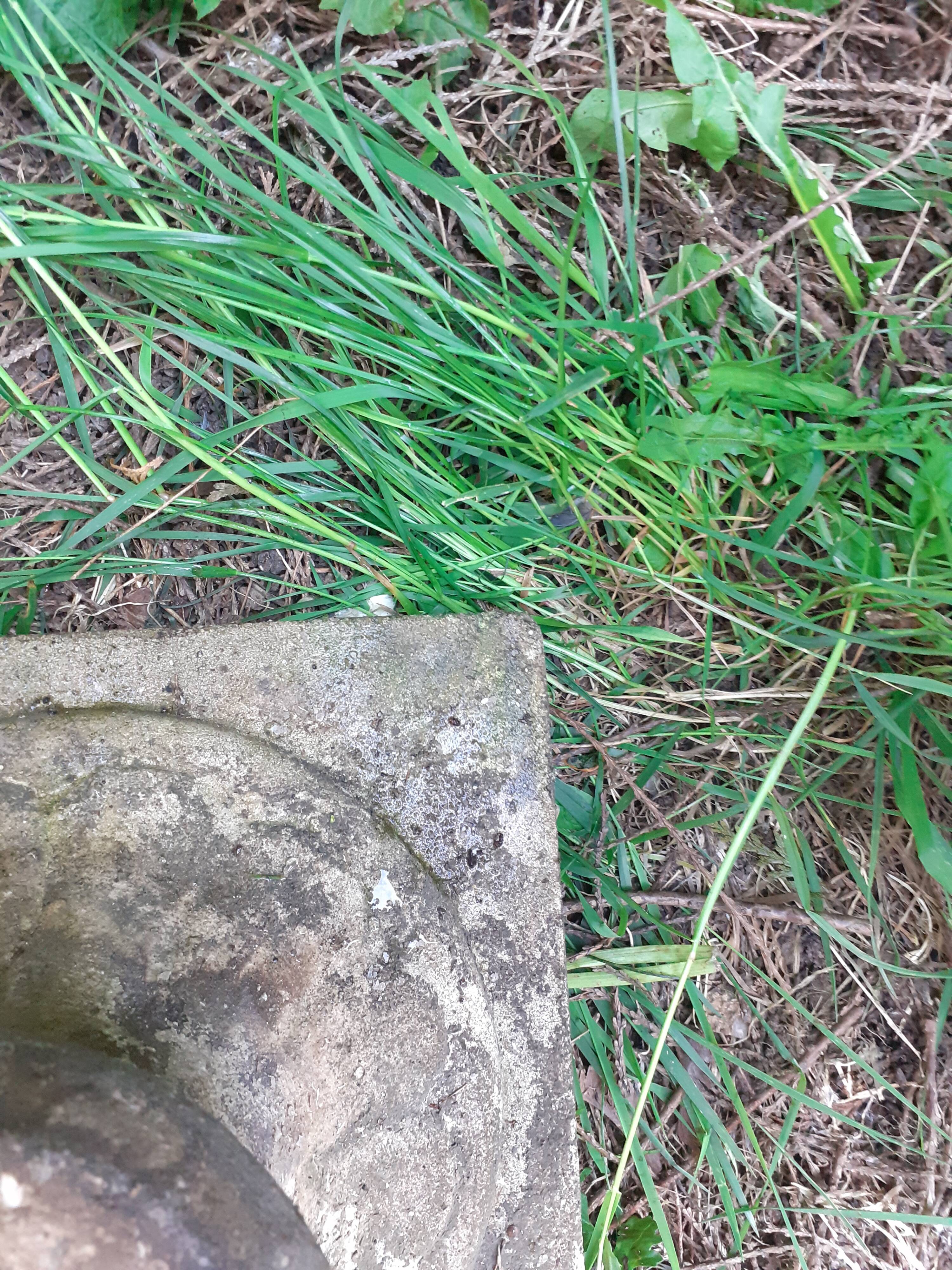 Pair of stone planter medicis