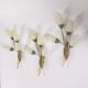 Set of 3 Vintage 1950s Wall Sconces in Floral Style, Italian Design