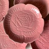 Pink flower earthenware plates