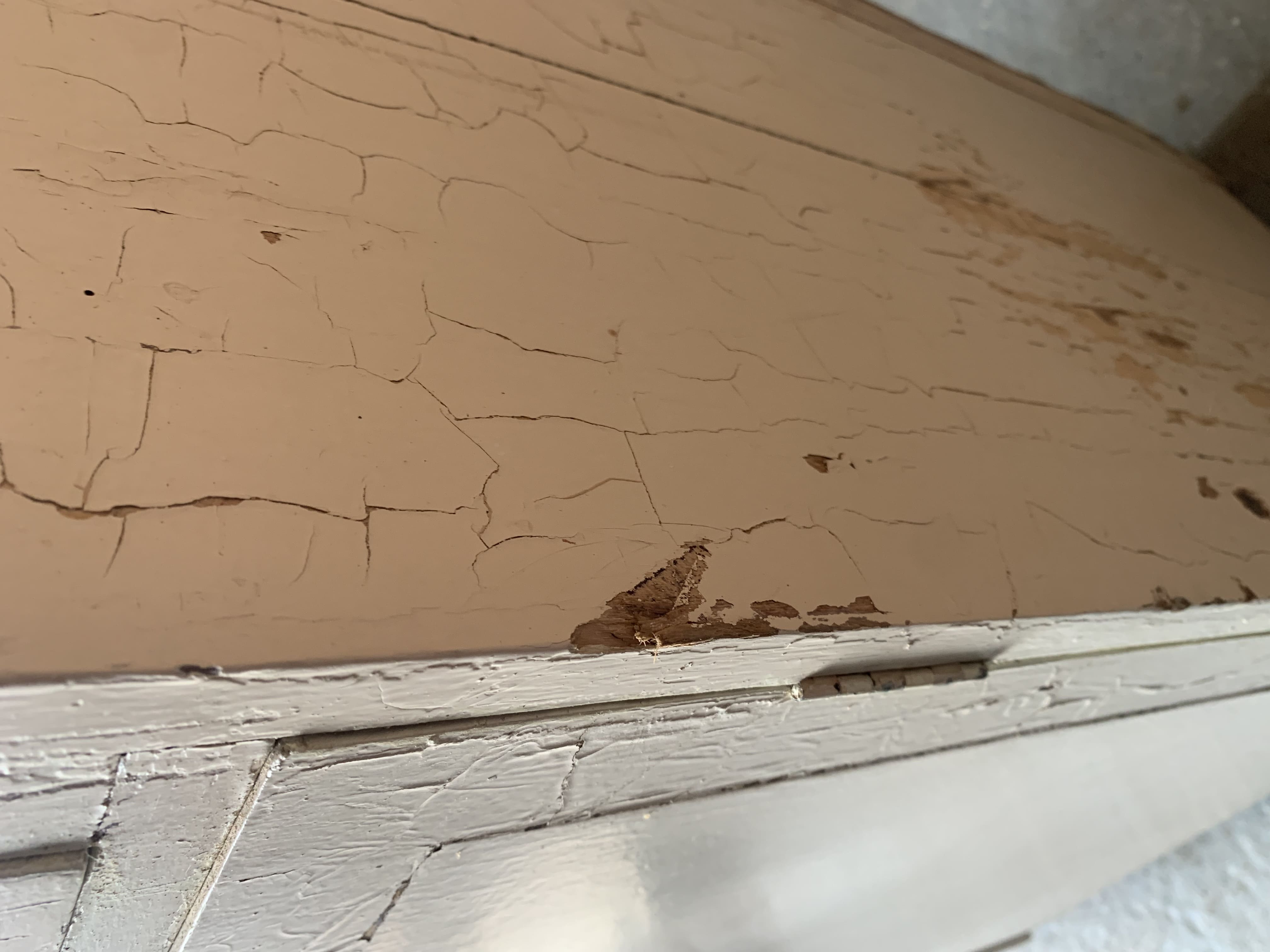 Buffet with elephant feet