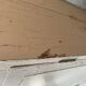 Buffet with elephant feet