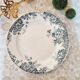 6 mismatched iron earth flat plates lot 3