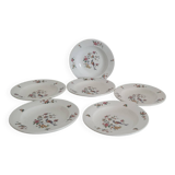 Set of 6 "Bird of Paradise" soup plates from Sarreguemines