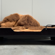 Bed/daybed by Jules Wabbes with Carine Boxy upholstery