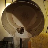 Jumo publisher table lamp 1960