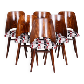 Mid-Century Chairs in Beech by Oswald Haerdtl, 1950s, Set of 6
