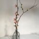 Reijmyre Sweden Scandinavian blown glass bottle, 60s