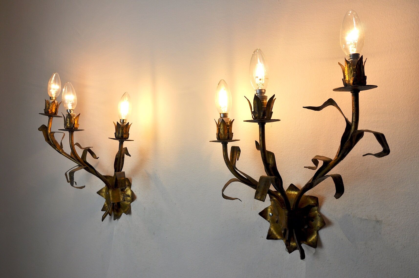 Pair of floral wall lamps Italy, 1950