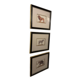 Ensemble de trois gravures animalières style histoire naturelle