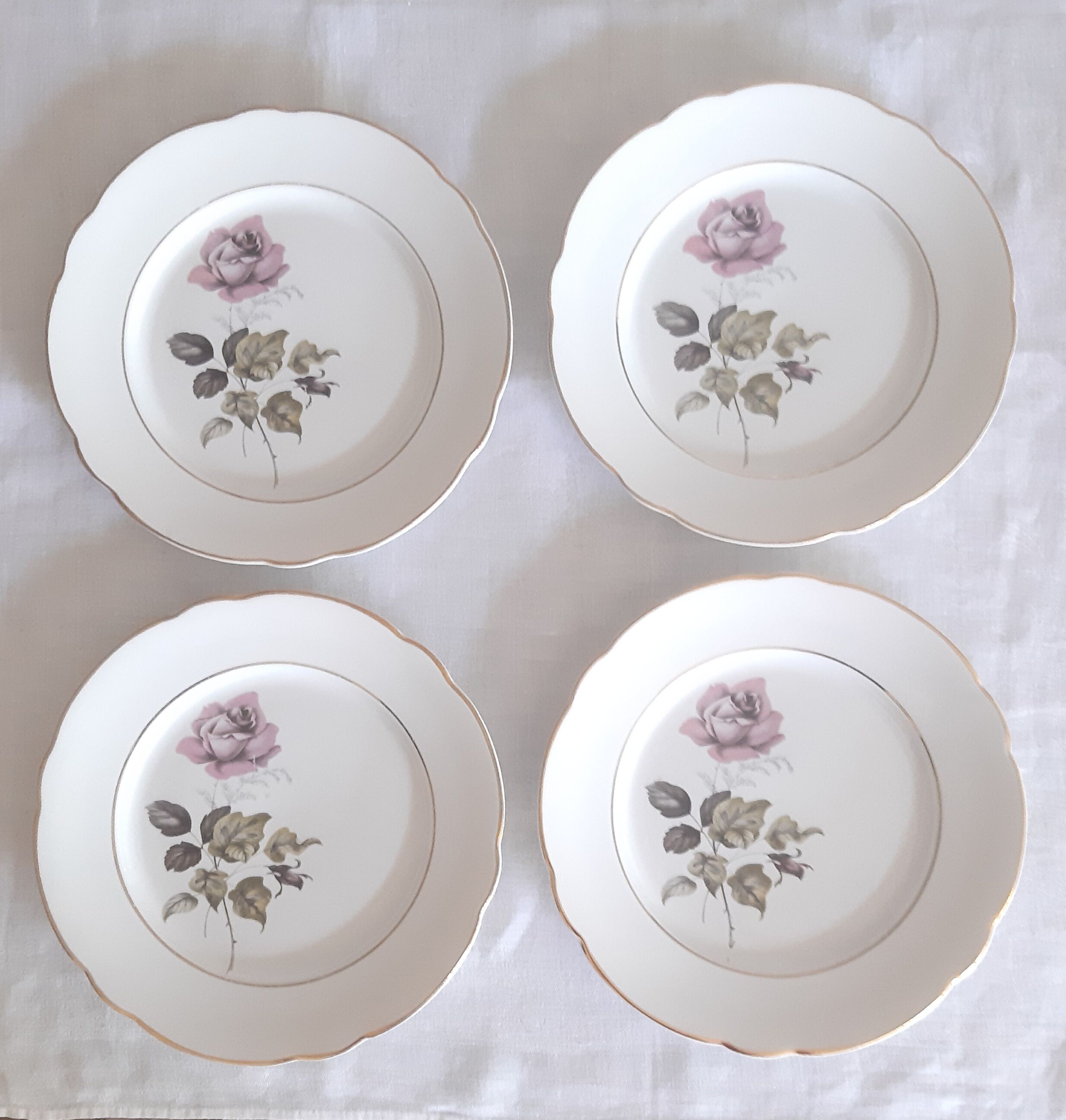 Flat plates Lunéville Badonvillier