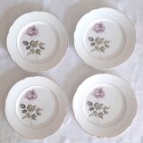 Flat plates Lunéville Badonvillier