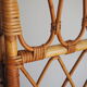Rattan screen