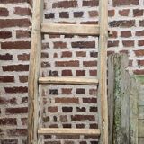 Old tree trunk ladder