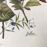 Vintage flower frame Jullien