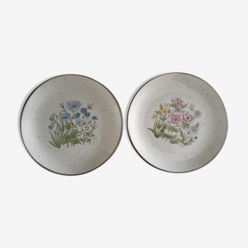 Botanical plates