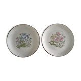 Botanical plates
