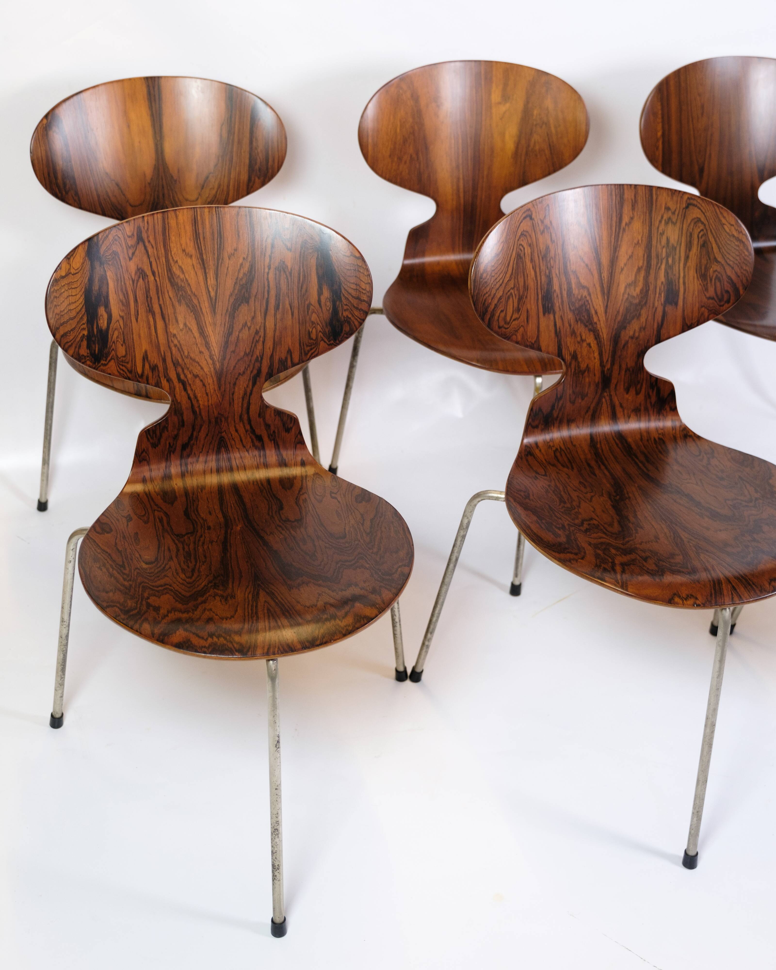 Set Of 6 Ant Chairs Model 3101 Made In Rosewood By Arne Jacobsen For Fritz Hansen From 1950s
