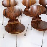 Lot de 6 chaises Ant modèle 3101 fabriquées en palissandre par Arne Jacobsen pour Fritz Hansen des années 1950