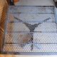 Old bistro table in cast iron and perforated metal, SIGHE Jeune Toulo