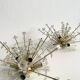 Pair of Snowflake Sputnik Flush Mount Lamps, Austria 1950s