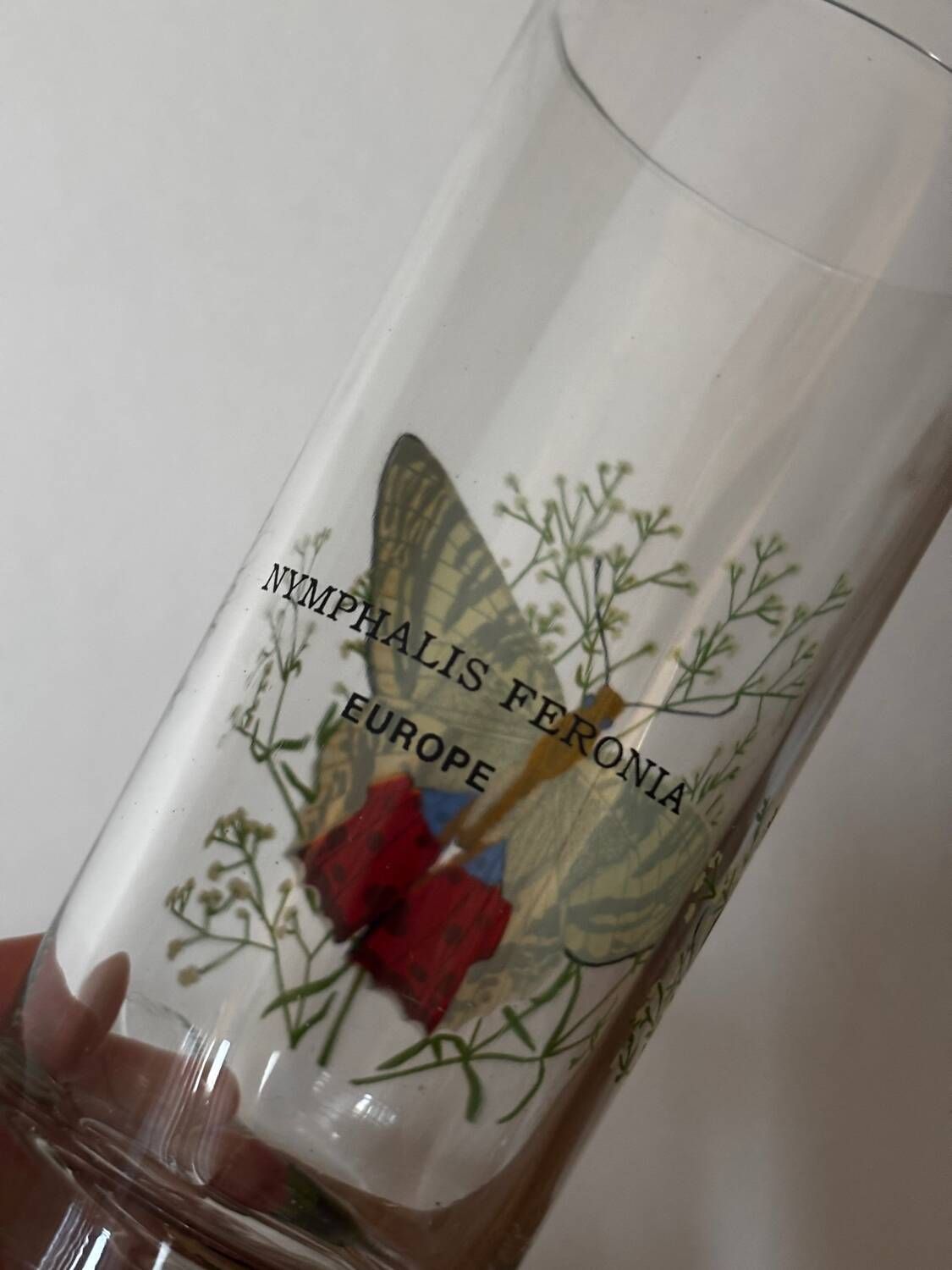 Vintage lot de 3 verres à eau papillons du monde