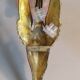 Pair of bronze swan and pink tulip wall lights in glass paste