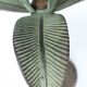 Antique palm tree-shaped candlestick in patinated metal