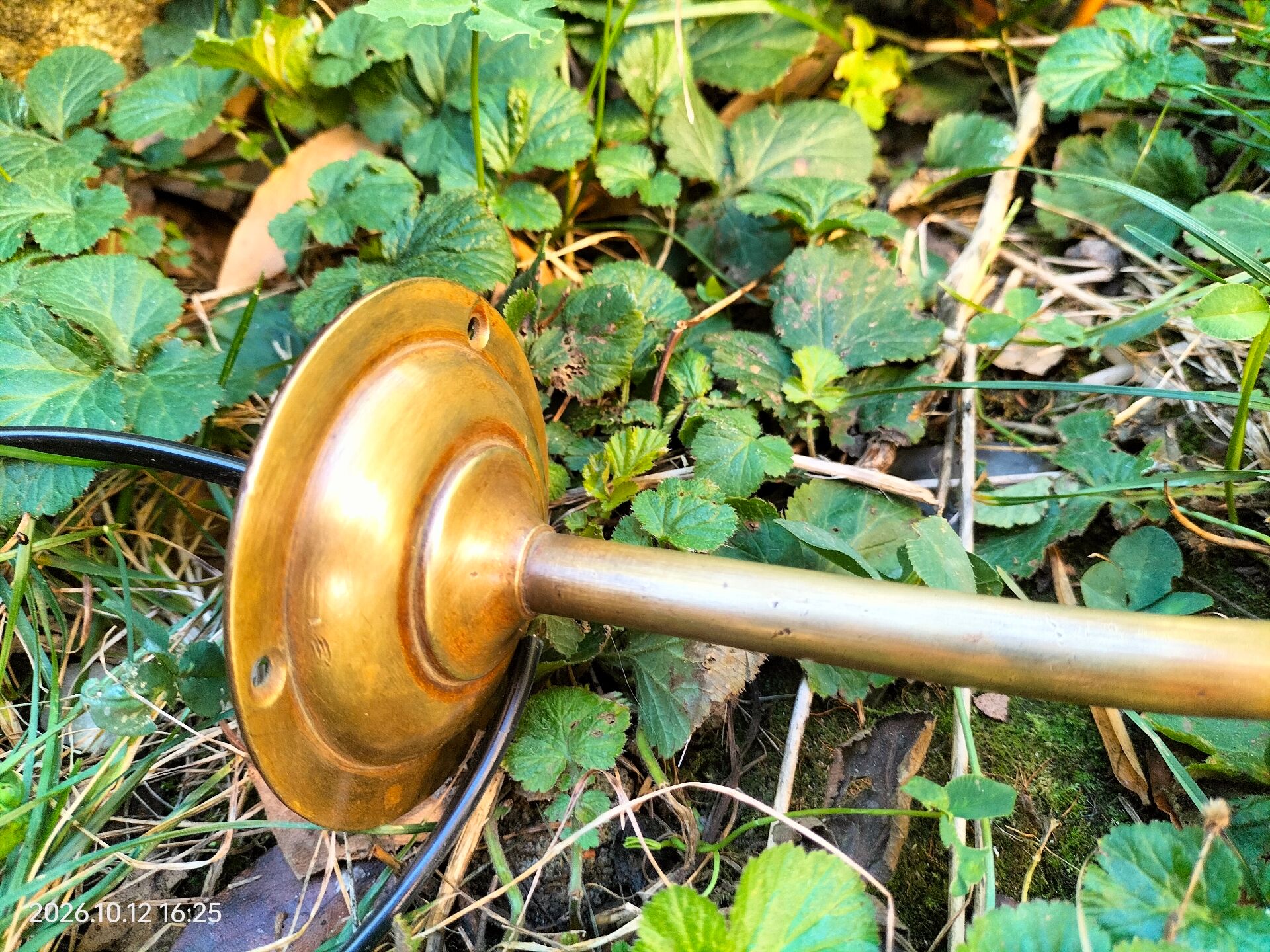 Brass and glass wall light